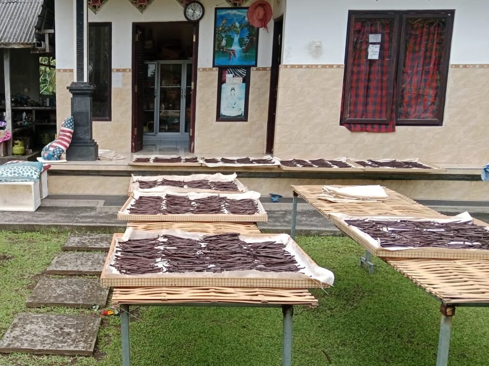 Home imagine whatsapp 2025 10 08 la 18.17.51 a2a70998