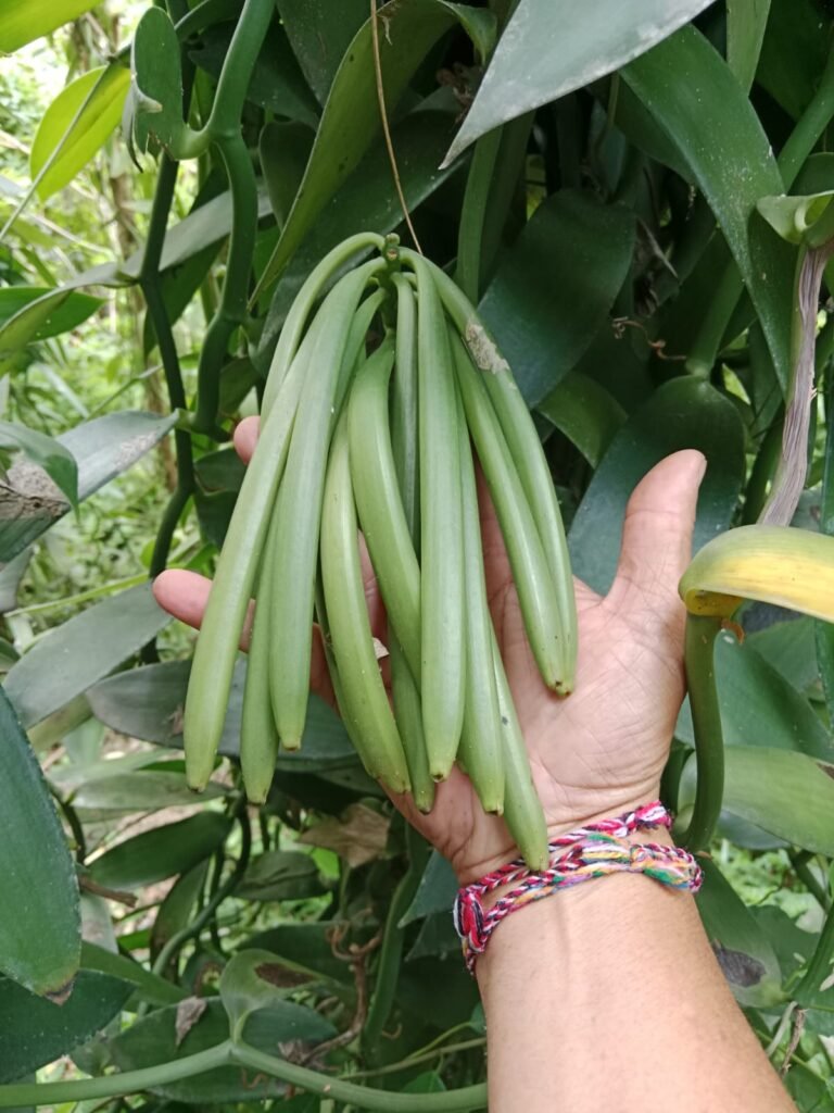 imagine whatsapp 2025 10 08 la 18.17.51 c0d44178