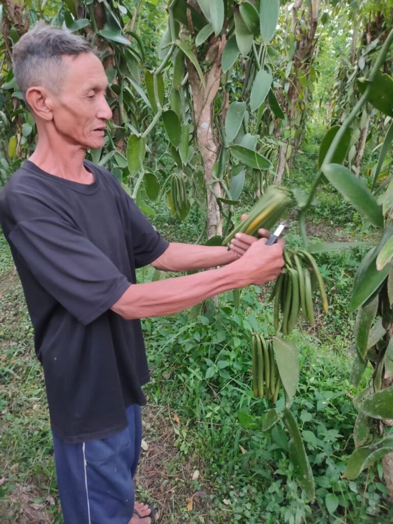 Home imagine whatsapp 2025 10 08 la 18.17.52 43a1c57e