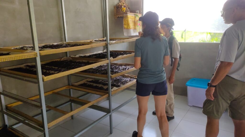 Home imagine whatsapp 2025 10 08 la 18.17.53 dcab51a6