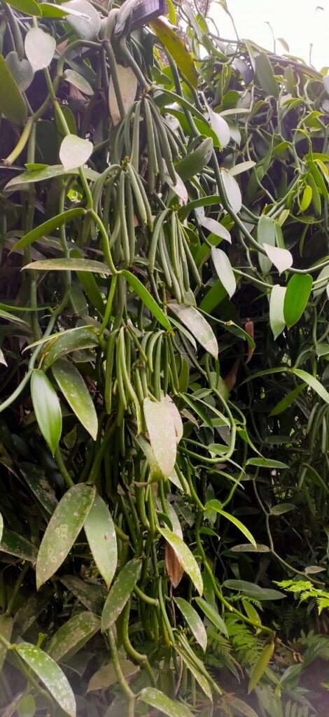 Home imagine whatsapp 2025 10 08 la 18.17.56 d7d6fe58